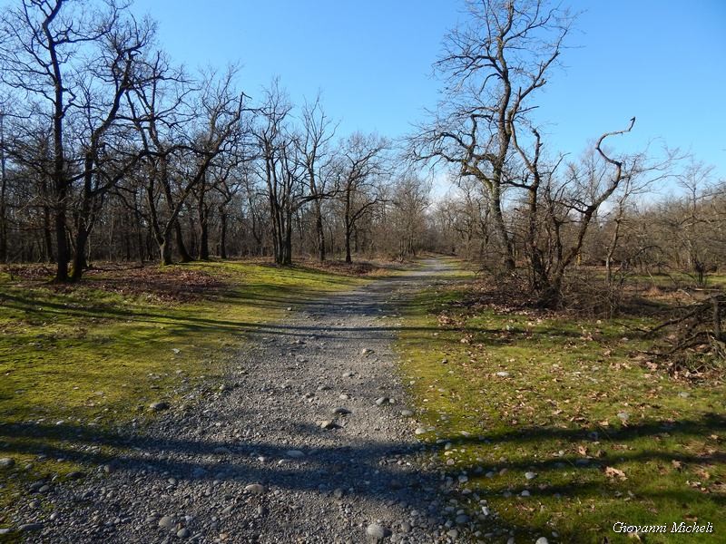 Parco del Ticino: prove di primavera